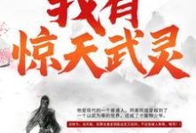 我有惊天武灵（元枫慕云儿初天宇）在线免费阅读-读书翁