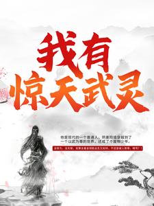 我有惊天武灵（元枫慕云儿初天宇）在线免费阅读