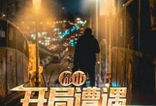 完结版《都市：开局遭遇中年危机》免费阅读-读书翁