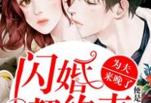 《闪婚契约妻：为夫来晚了》小说章节列表免费试读，姜阮晏楚衍小说在线阅读-读书翁