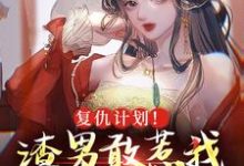 在线寻找复仇计划！渣男敢惹我将门虎女小说的无删减版本-读书翁