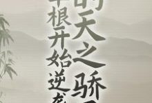 从草根开始逆袭的天之骄子（古青云罗刹）在线免费阅读-读书翁