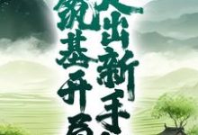 玄幻：筑基开局，走出新手村免费阅读，玄幻：筑基开局，走出新手村章节在线阅读-读书翁