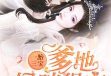 在线寻找一胎三宝：爹地，妈咪得宠！小说的无删减版本-读书翁