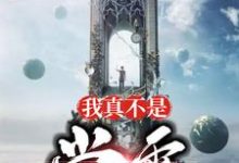 完结版《我真不是学霸》在线免费阅读-读书翁