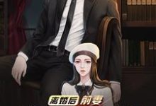 在线寻找离婚后，前妻跪求我复婚小说的无删减版本-读书翁