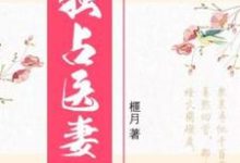 《独占医妻》小说主角盛玥君元晔章节章节免费在线阅读-读书翁