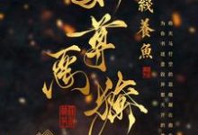 《女尊：娇养的暗卫夫君又拔刀了》小说主角卫辛司不渝章节章节免费在线阅读-读书翁