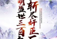 《斩尽奸臣后，大明盛世三百年》小说章节在线试读，《斩尽奸臣后，大明盛世三百年》最新章节目录-读书翁