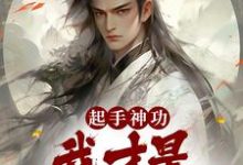 完结版《起手神功：我才是一人之下》在线免费阅读-读书翁