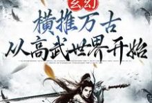 《玄幻：横推万古从高武世界开始》小说章节列表免费试读，陈凡小说在线阅读-读书翁