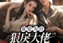 完结版《谋爱为营：狠戾大佬独宠我一人》免费阅读-读书翁