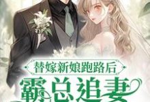 完结版《替嫁新娘跑路后，霸总追妻火葬场了》章节阅读-读书翁