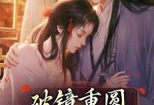 完结版《破镜重圆：权臣跪求复合》免费阅读-读书翁