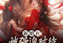 新婚夜被强迫对待，这叫不近女色？小说全文哪里可以免费看？-读书翁