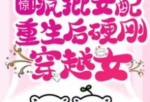 在线寻找惊！疯批女配重生后硬刚穿越女小说的无删减版本-读书翁