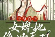 《王爷在下：女婢她绝世无双》小说章节在线试读，《王爷在下：女婢她绝世无双》最新章节目录-读书翁