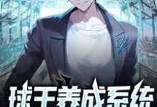 完结版《球王养成系统：我吊打梅西》章节阅读-读书翁