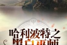 罗斯·邓曼莱昂·迈斯小说在哪里可以看-读书翁