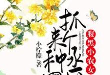 腹黑小农女：抓个丞相来种田小说无弹窗阅读的网站推荐-读书翁