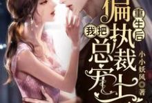 完结版《重生后，我把偏执总裁宠上天》章节阅读-读书翁