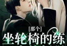 完结版《那个坐轮椅的练习生他超强》章节目录在线阅读-读书翁