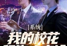 完结版《系统：我的校花舔狗太高冷》章节目录在线阅读-读书翁