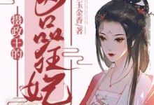 完结版《摄政王的医品狂妃》在线免费阅读-读书翁