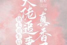 完结版《姨太重生后，大佬追妻真香了》免费阅读-读书翁