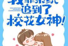 完结版《我靠系统追到了校花女神！》章节阅读-读书翁