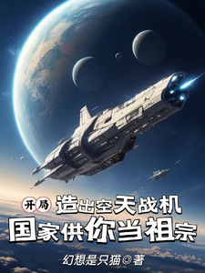 开局造空天战机，国家供你当祖宗映南安然小说在线章节免费阅读