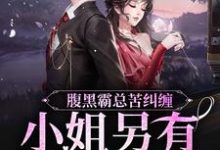 完结版《腹黑霸总苦纠缠，小姐另有心上人》章节阅读-读书翁