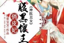 小说《神医丑女：腹黑傻王俏皮妃》在线章节阅读-读书翁