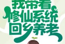 完结版《我带着修仙系统回乡养老》免费阅读-读书翁