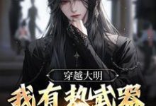 在线寻找穿越大明，我有热武器正常吧？小说的无删减版本-读书翁