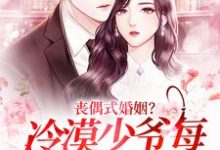 完结版《丧偶式婚姻？冷漠少爷每日掐腰狂吻》章节阅读-读书翁