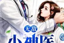 完结版《无敌小神医》章节阅读-读书翁