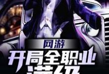 完结版《网游：开局全职业满级》免费阅读-读书翁