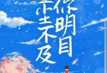 小说《星尘不及你明目》章节阅读-读书翁