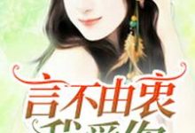 完结版《言不由衷我爱你》章节阅读-读书翁