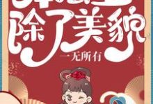 《本公主除了美貌，一无所有》小说主角沐云初顾爇霆司寇慕青沐云澈章节章节免费在线阅读-读书翁