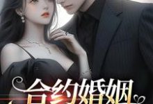 完结版《合约婚姻：大佬恋上她》章节阅读-读书翁