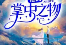 完结版《他的掌中之物》在线免费阅读-读书翁