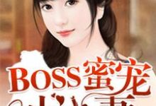 BOSS蜜宠小小妻小说完结版章节免费阅读-读书翁