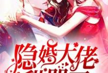 完结版《隐婚大佬甜哭了》在线免费阅读-读书翁