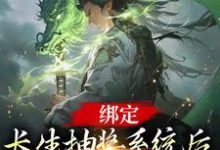 完结版《绑定长生抽奖系统后，我抽奖就变强》免费阅读-读书翁