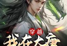 穿越：我在大唐当闲王小说阅读，穿越：我在大唐当闲王完结版-读书翁