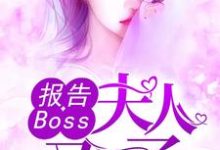 报告Boss：夫人又怀了这本小说完结了吗？免费查看最新章节-读书翁