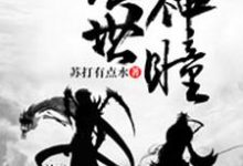 绝世神瞳小说，绝世神瞳章节在线阅读-读书翁