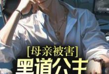 完结版《母亲被害，黑道公主扶我登高位》章节阅读-读书翁